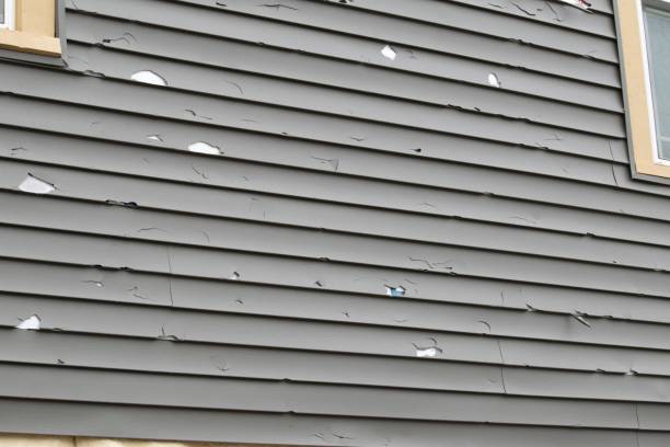 Best Hoarding Cleanup  in East Lake, FL